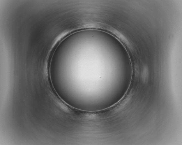 X0000112851230200908211254