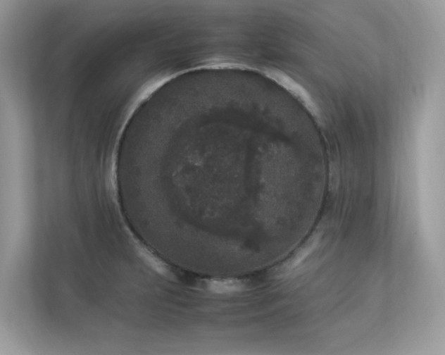 X0000112851231200908211254
