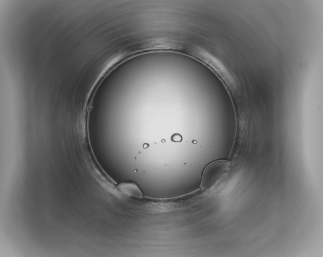 X0000112851236200908211254