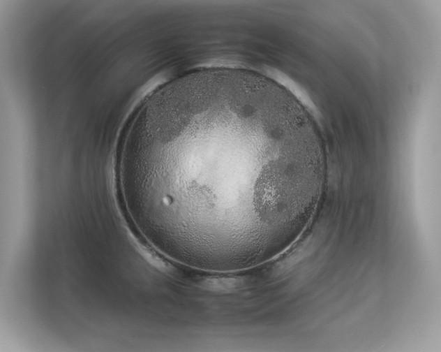 X0000112851237200908211254