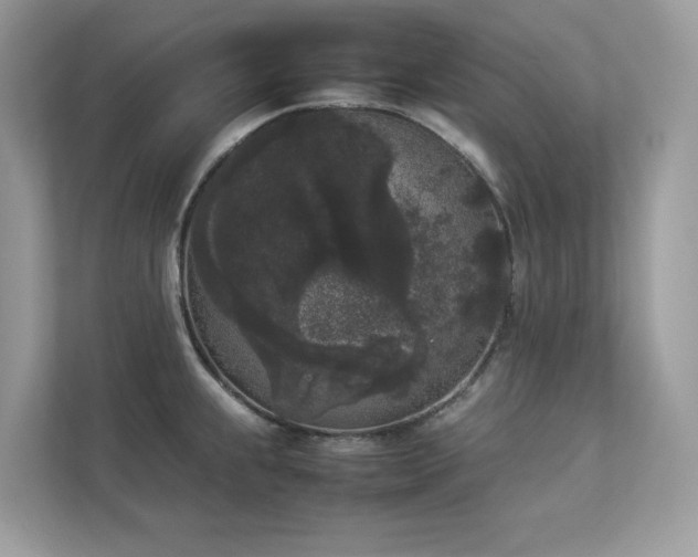 X0000112851239200908211254