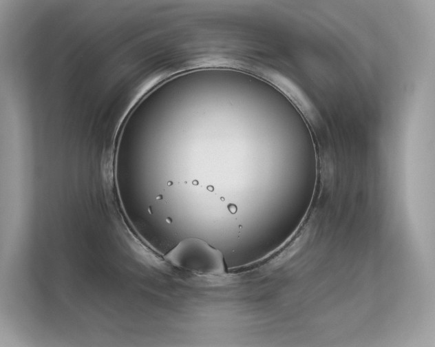 X0000112851244200908211254