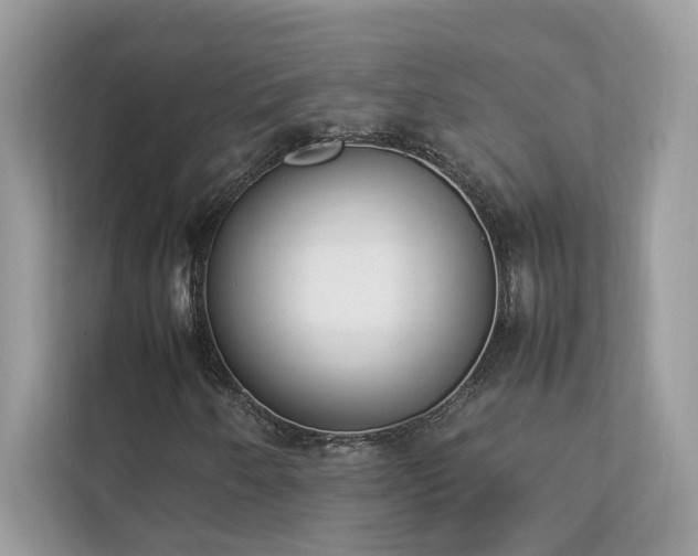 X0000112851250200908211253