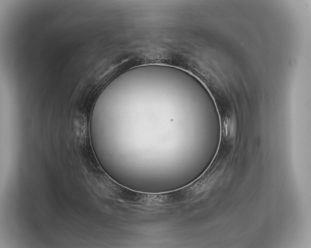 X0000112851251200908211253