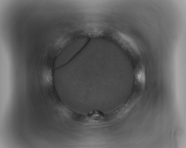 X0000112851252200908211253