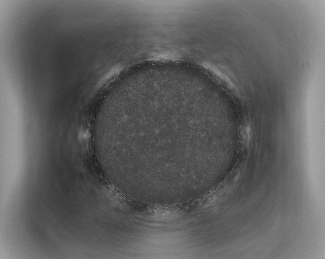 X0000112851254200908211253