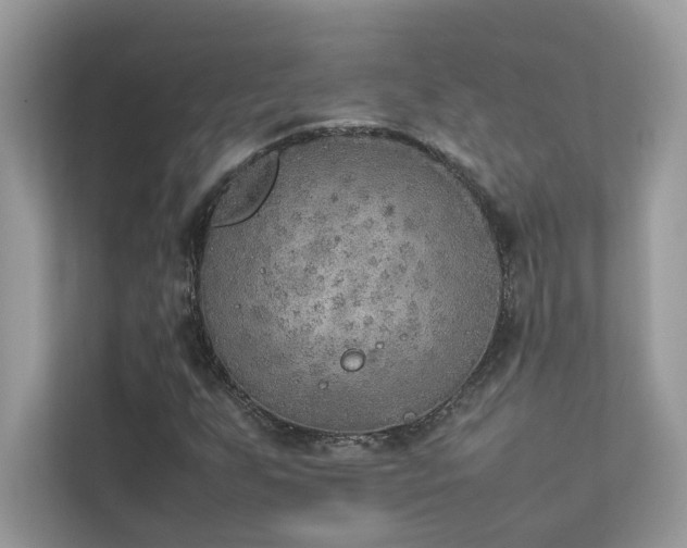 X0000112851255200908211253