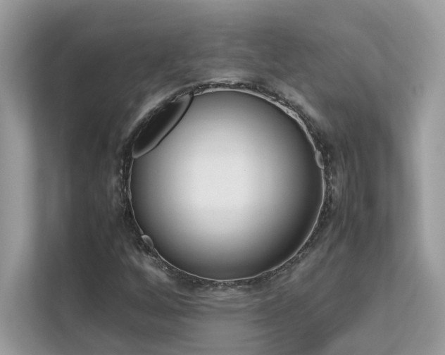 X0000112851256200908211253