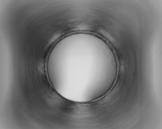 X0000112851258200908211253