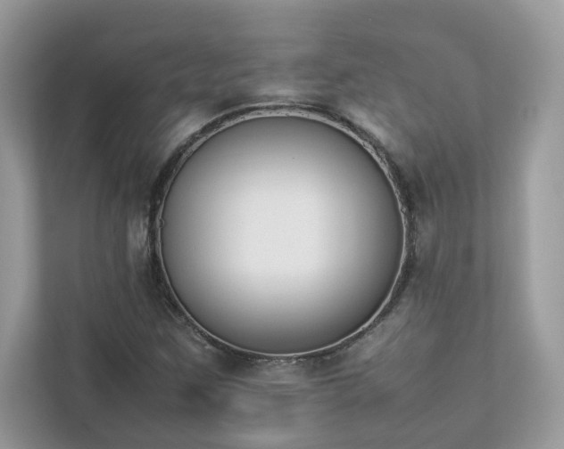 X0000112851259200908211253
