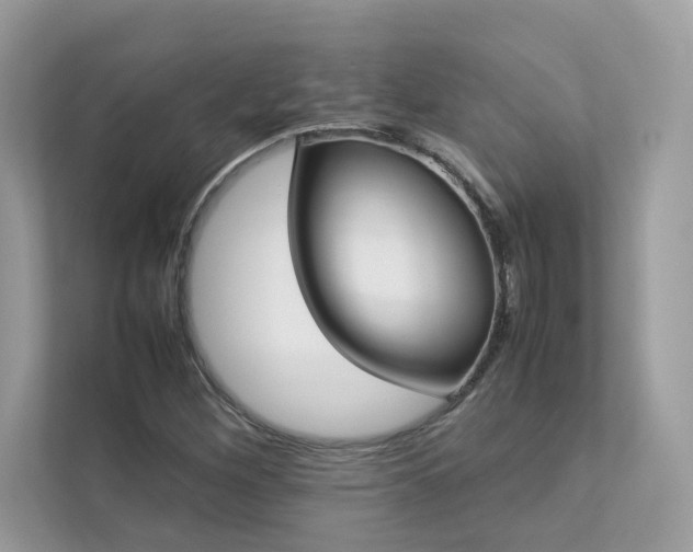 X0000112851260200908211253