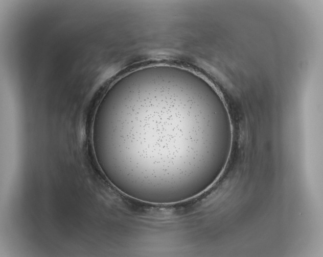 X0000112851261200908211253