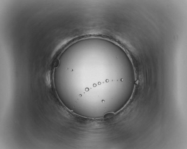 X0000112851262200908211253