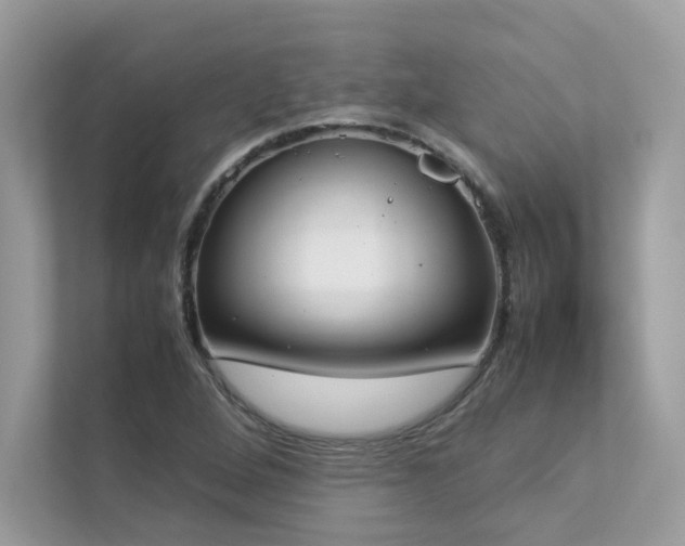 X0000112851264200908211253