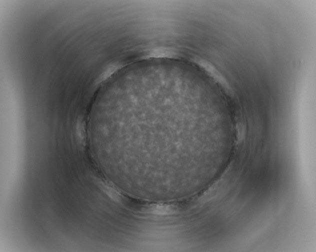 X0000112851266200908211253