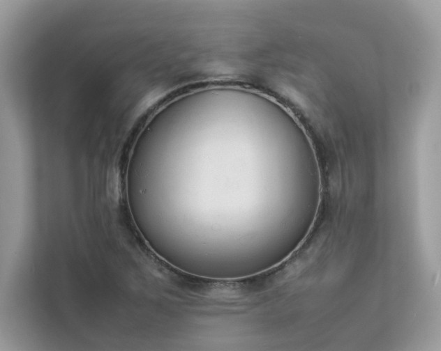 X0000112851267200908211253