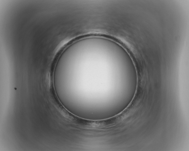 X0000112851271200908211253