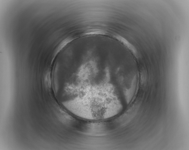 X0000112851274200908211253