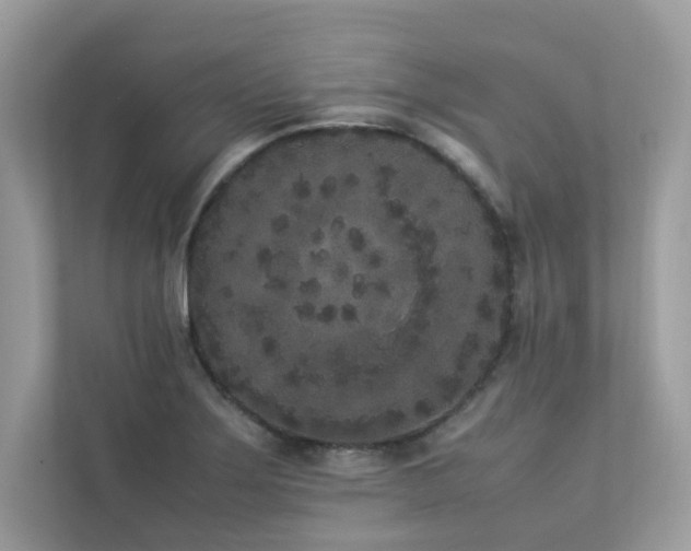 X0000112851275200908211253