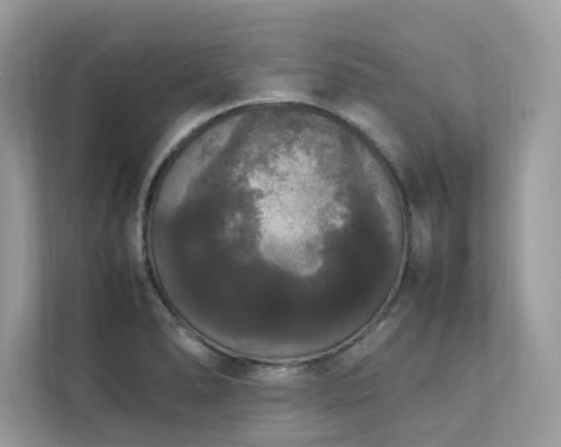 X0000112851278200908211253