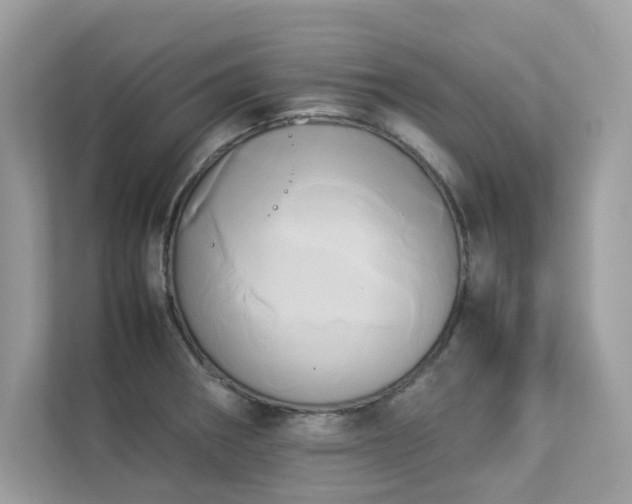 X0000112851282200908211253