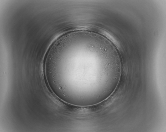X0000112851283200908211253
