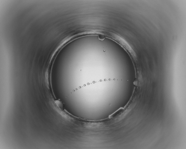 X0000112851284200908211253