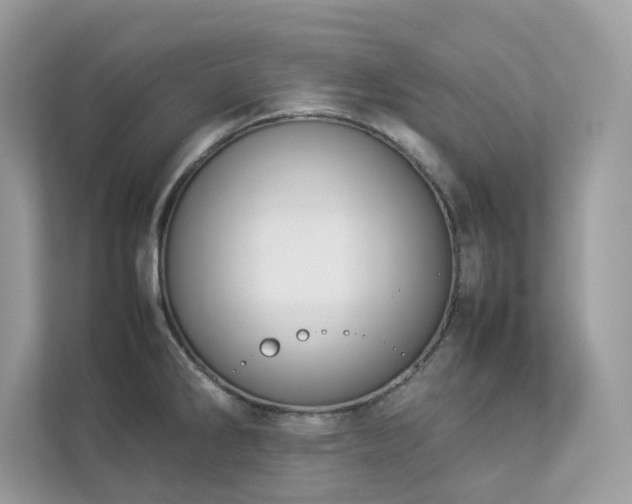 X0000112851286200908211253
