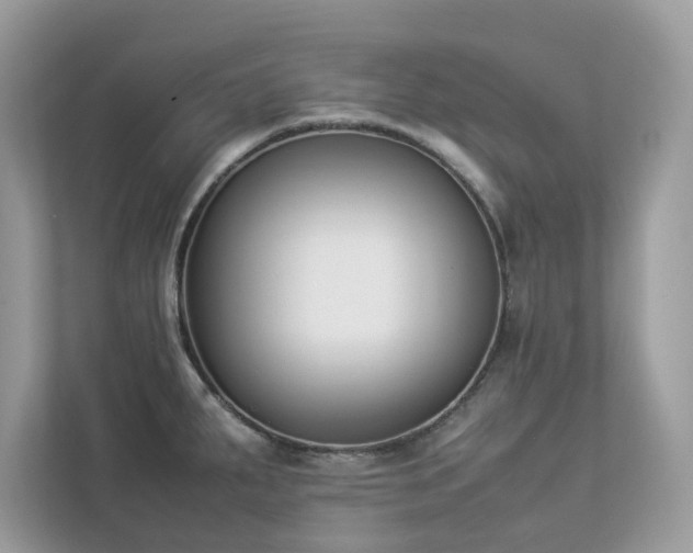 X0000112851287200908211253