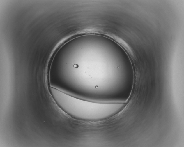 X0000112851288200908211253
