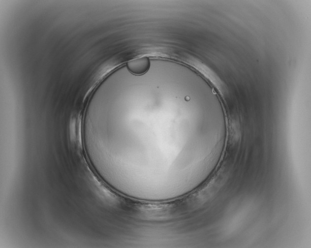 X0000112851290200908211253