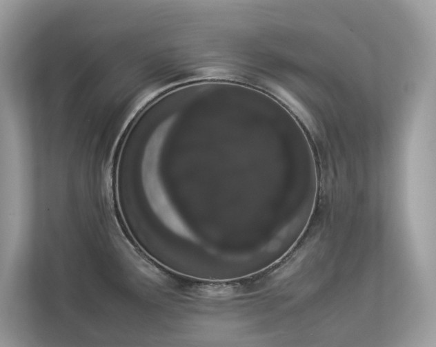 X0000112851291200908211253