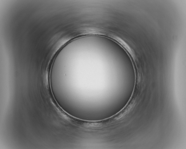 X0000112851293200908211253