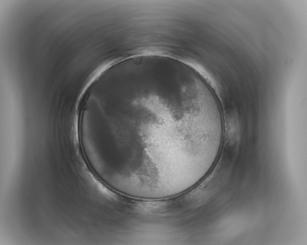 X0000112851294200908211253