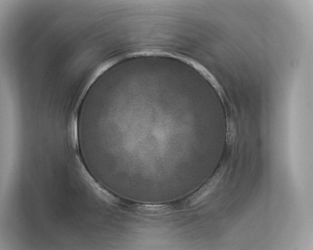 X0000112851295200908211253