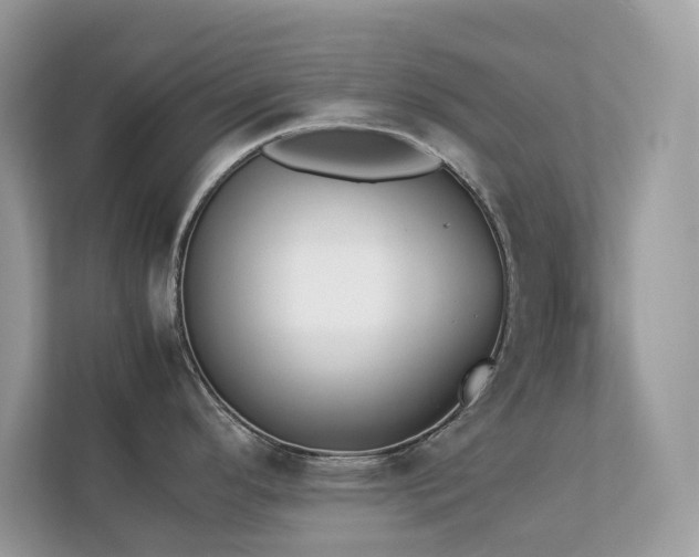 X0000112851296200908211253