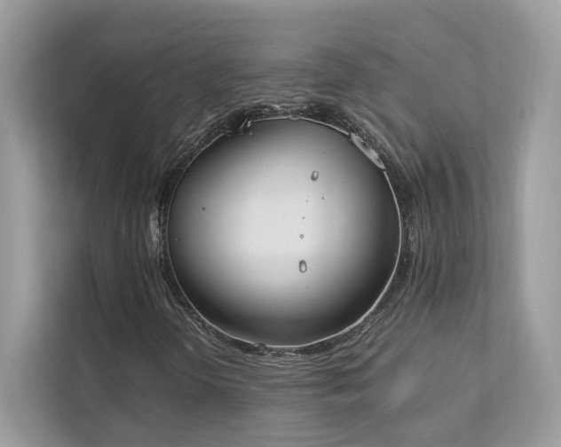 X0000112851298200908211252