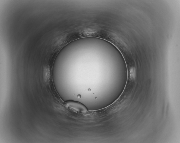 X0000112851299200908211252