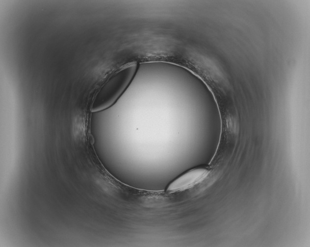 X0000112851300200908211252