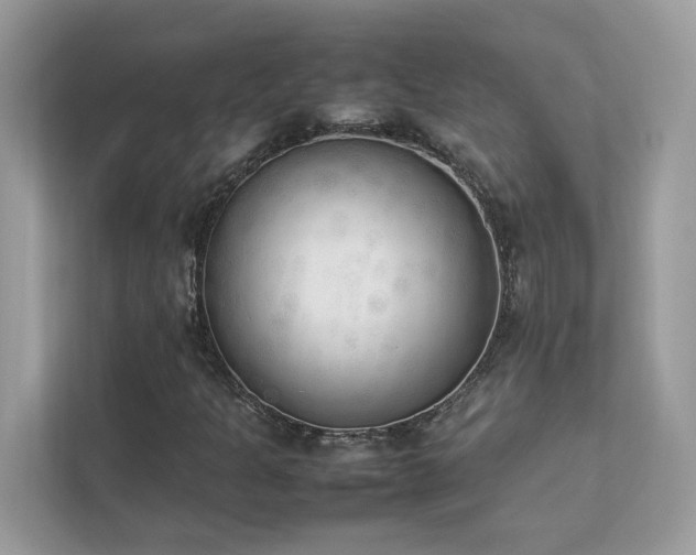 X0000112851301200908211252
