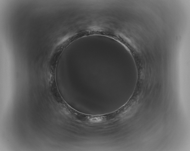 X0000112851303200908211252
