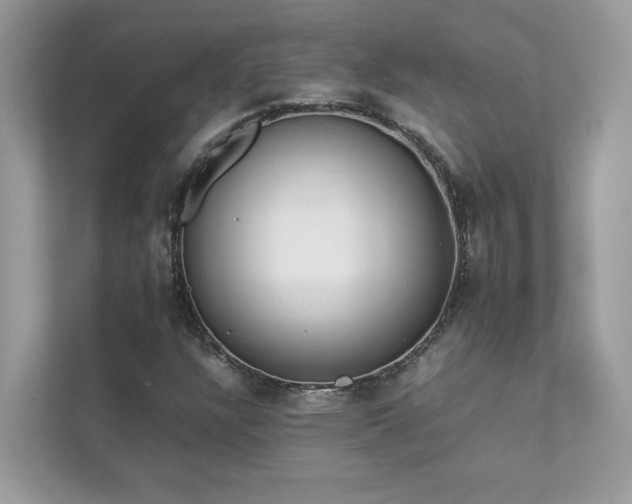 X0000112851304200908211252