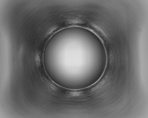 X0000112851305200908211252