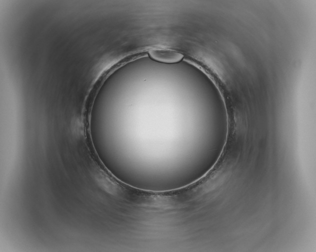 X0000112851308200908211252