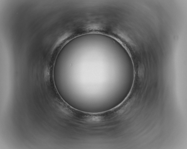 X0000112851309200908211252