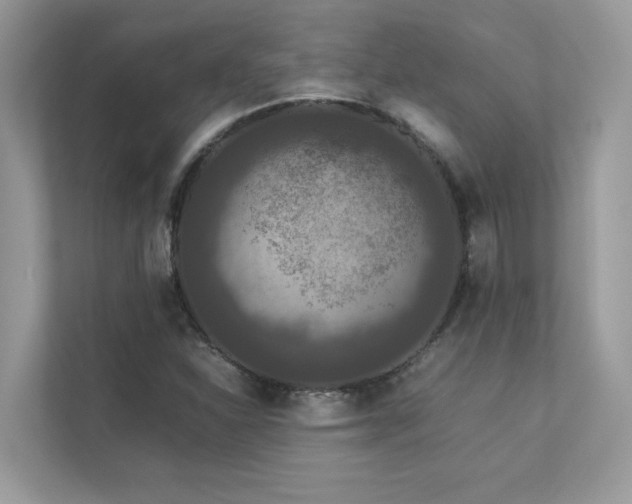 X0000112851310200908211252