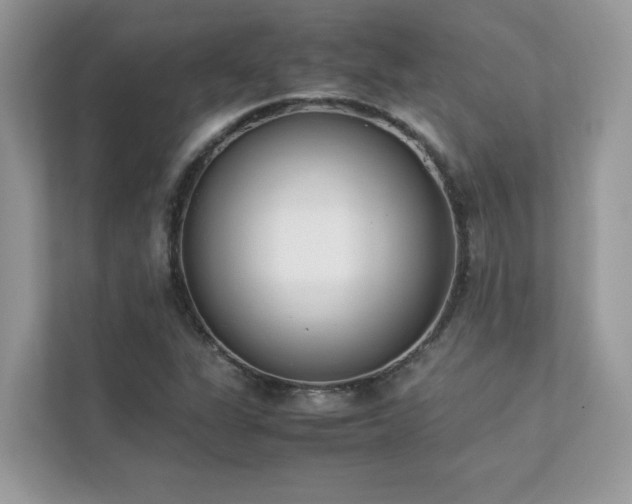 X0000112851311200908211252