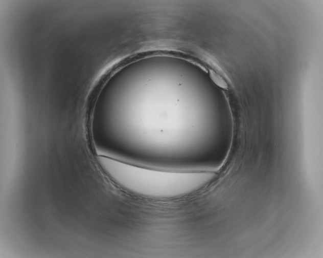 X0000112851312200908211252