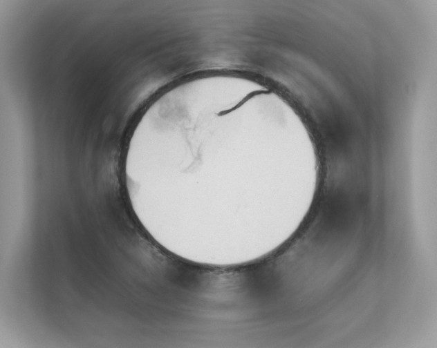 X0000112851314200908211252