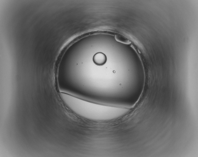 X0000112851316200908211252